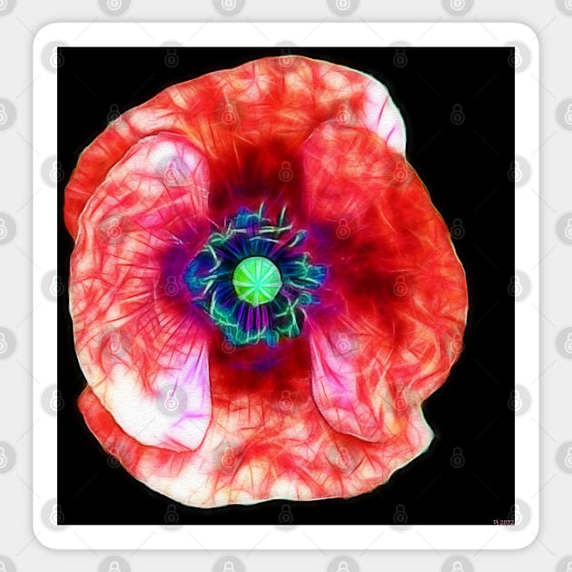 Poppy Flower Close Up Sticker by danieljanda